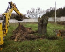 корчевание пней 23